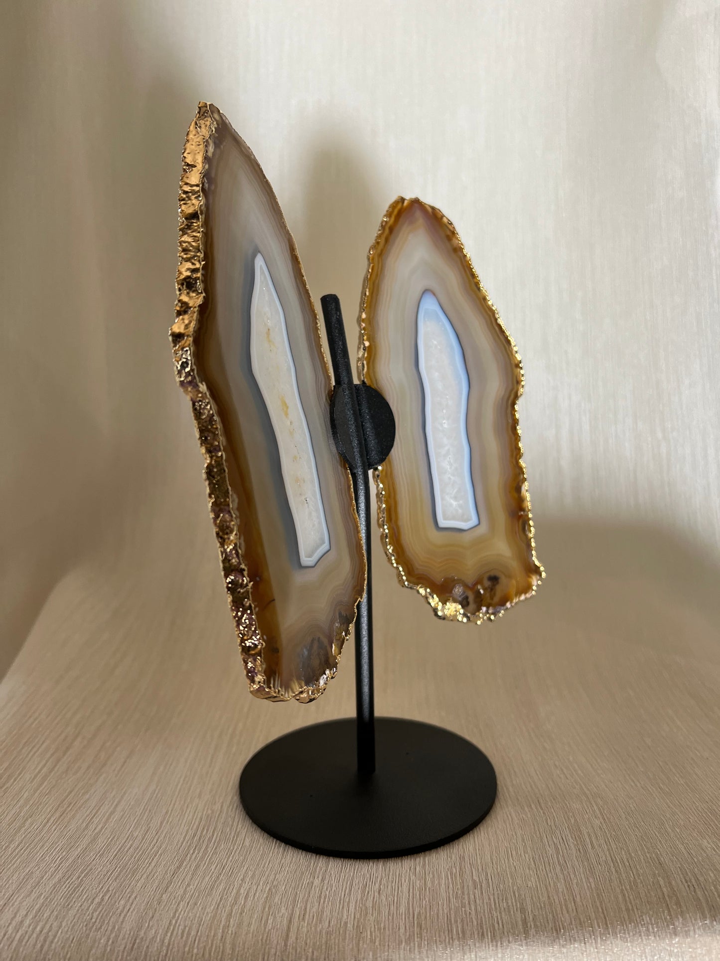 Agaat vlinder op voet