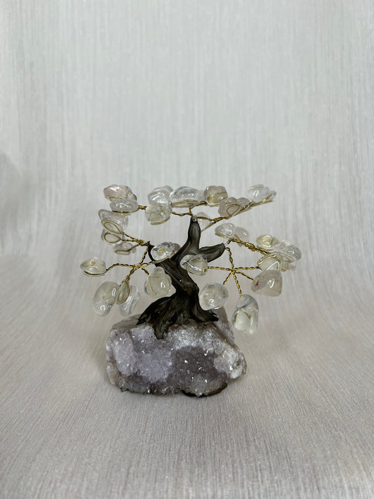 Bergkristal boom - A