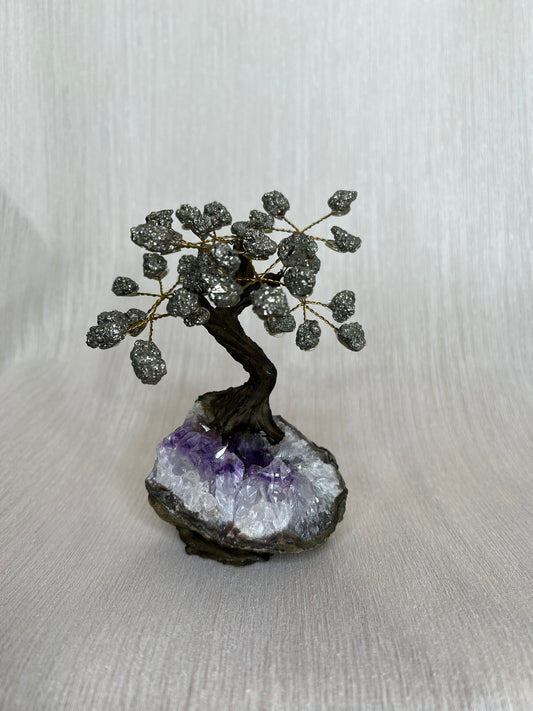 Pyriet boom - C