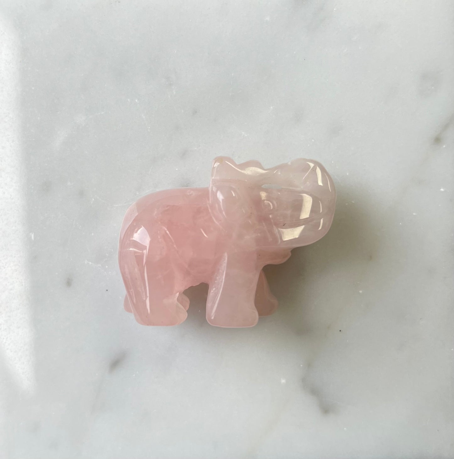 Rozenkwarts olifant