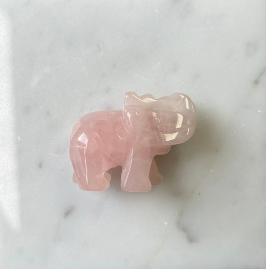Rozenkwarts olifant