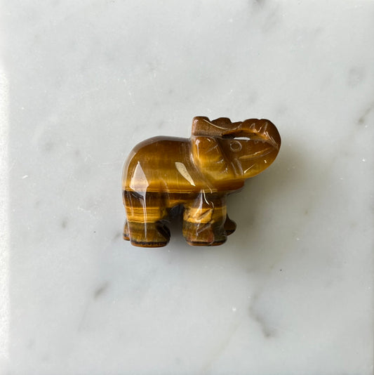 Tijgeroog olifant