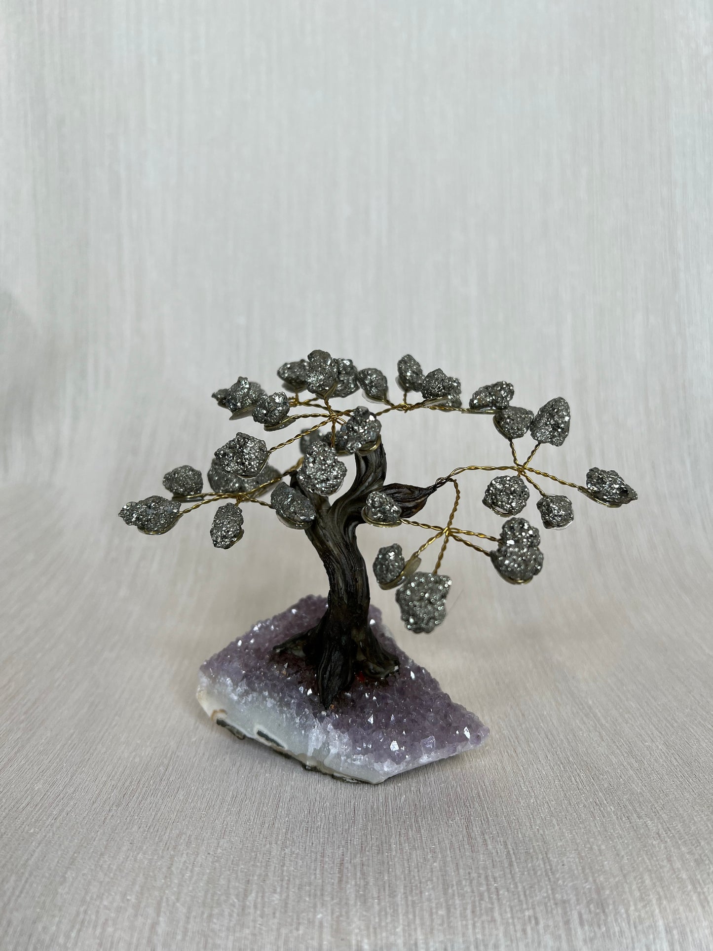 Pyriet boom - B