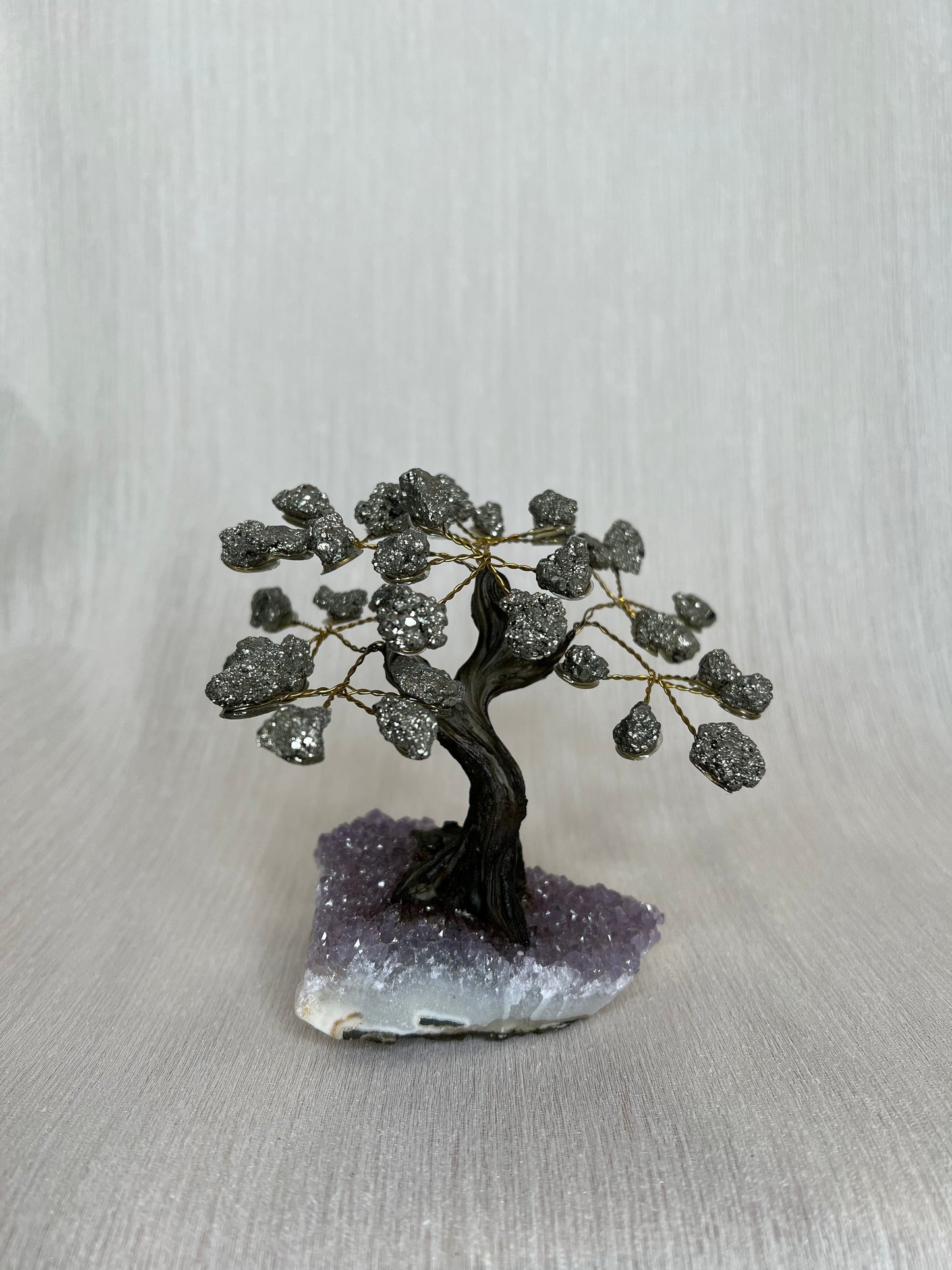 Pyriet boom - B