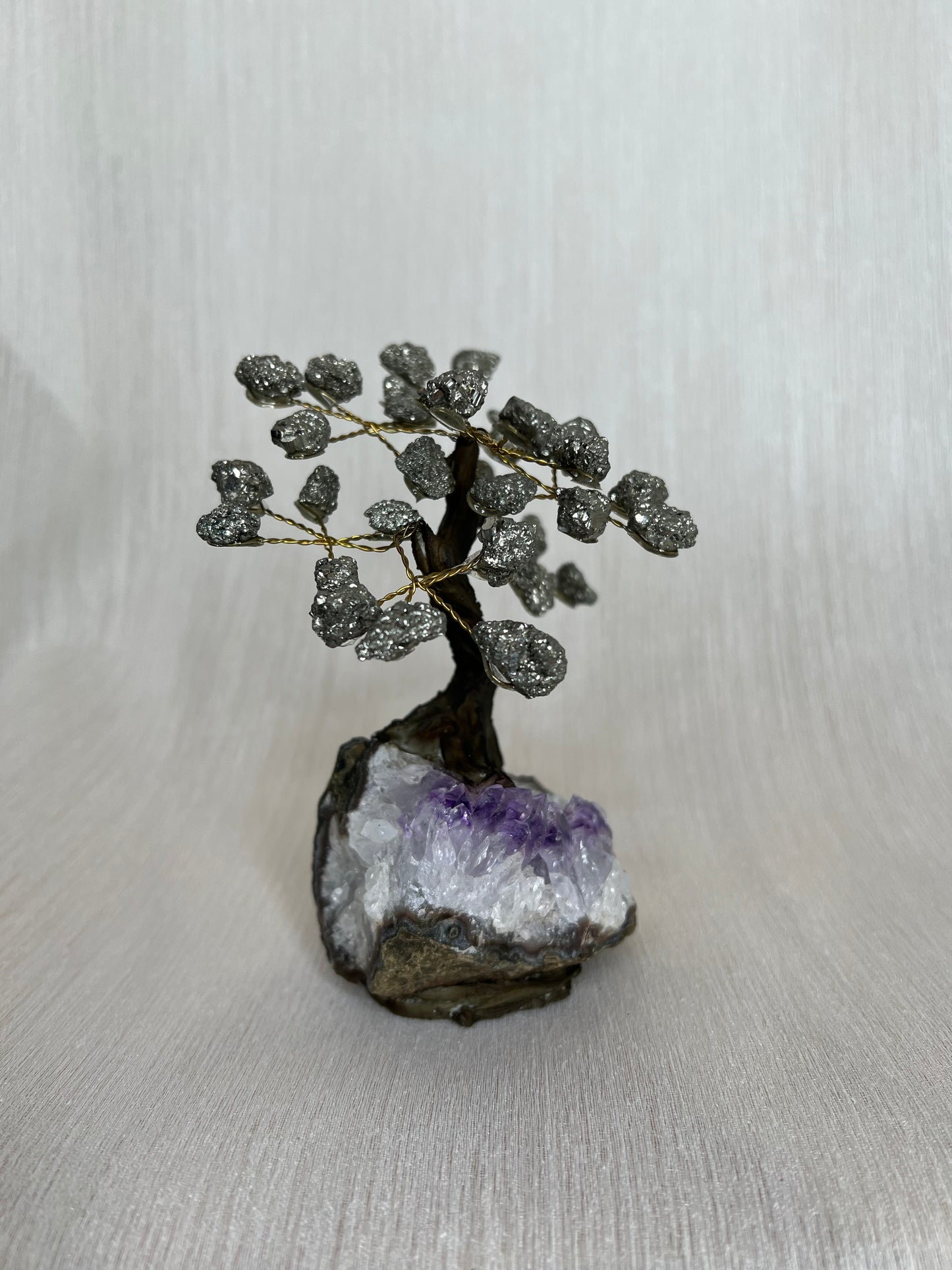 Pyriet boom - C