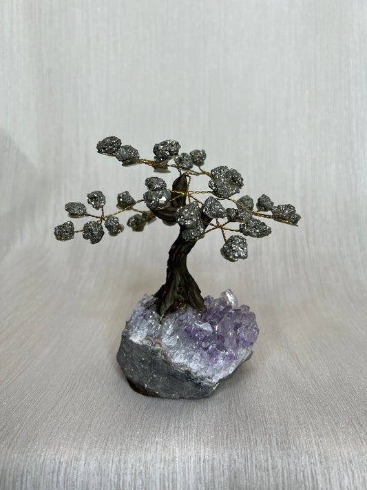 Pyriet boom A